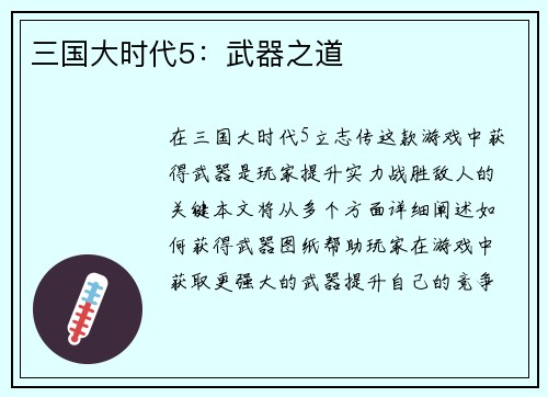 三国大时代5：武器之道